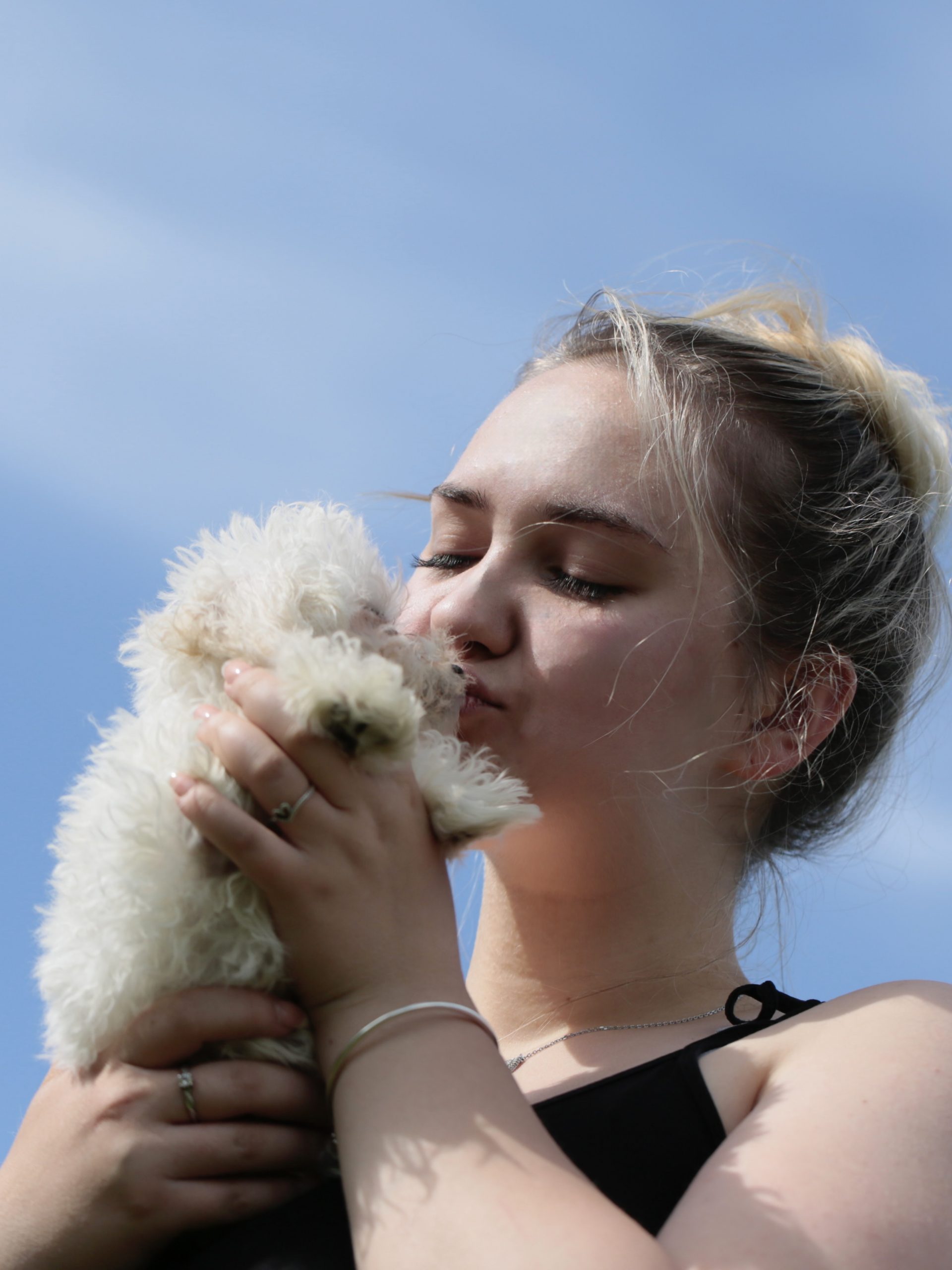 Cavapoo, Cockapoo, Maltipoo Züchter mit Papieren Welpen