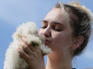 Cavapoo Cockapoo Cockerpoo Havapoo Maltipoo Pomapoo Doodle Pudel-Mix Welpen Züchter Zucht in Sachsen